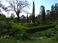 In den Palheiro Gardens