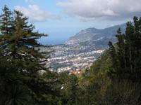 Blick auf Funchal