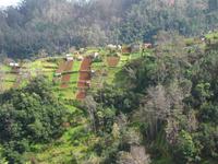 steile Gärten an den Hängen