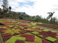 Kräuterbeet im Botanischen Garten