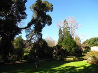 In den Palheiro Gardens