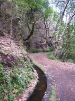 Kleine Levada-Wanderung bei Ribeiro Frio