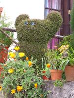 Entlang der Levada da Serra do Faial