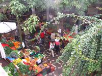 Reges Treiben in der Markthalle