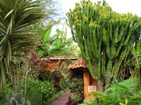 Im hoteleigenen botanischen Garten