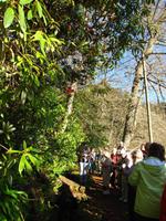 Entlang der Levada da Serra do Faial
