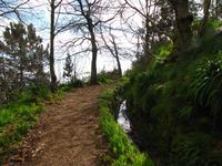 Entlang der Levada da Serra do Faial