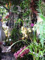 Eingang des Orchideengartens