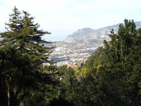 Blick auf Funchal vom Palheiro Garden