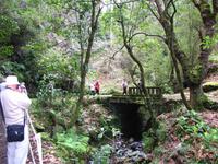 Kleine Levada-Wanderung bei Ribeiro Frio
