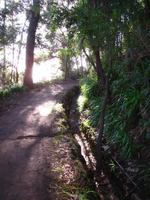 Entlang der Levada da Serra do Faial