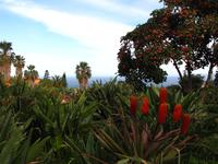 Im hoteleigenen botanischen Garten