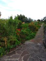 Im hoteleigenen botanischen Garten