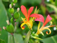 Im hoteleigenen botanischen Garten