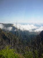 Waldbrände sind eine Gefahr für Madeira