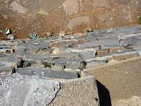 Ein Eldorado für Eidechsen