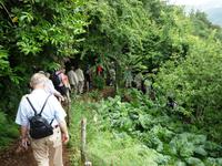 Bergab ist schwieriger