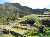 Die Gruppe von Weitem