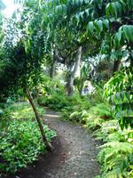 Im Botanischen Garten