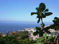 Wunderschöne Aussicht