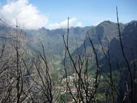 Und wieder traurige Zeugen des Waldbrands