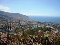 Blick auf Funchal