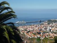 Blick auf den Hafen Funchals