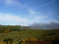 Plötzliche Nebelwände