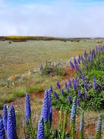Die unterschiedlichen Farbnuancen begeistern
