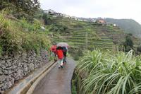 Levada Wanderung Maracos