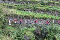 Levada Wanderung Maracos