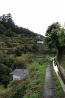 Levada Wanderung Maracos
