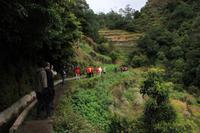 Levada Wanderung Maracos