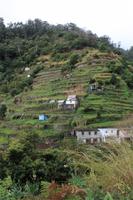 Levada Wanderung Maracos