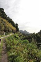 Levada Wanderung Maracos