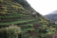 Levada Wanderung Maracos