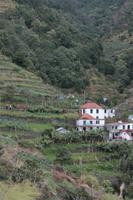Levada Wanderung Maracos