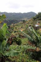 Levada Wanderung Maracos