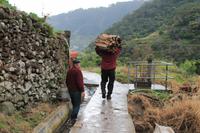 Levada Wanderung Maracos