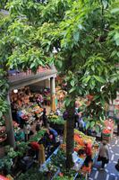 Markthalle Funchal