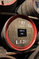 ganz spezieller Jahrgang