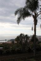 Botanischer Garten in Funchal