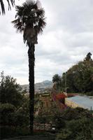 Botanischer Garten in Funchal