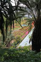Botanischer Garten in Funchal