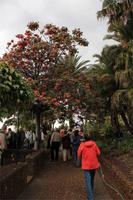 Botanischer Garten in Funchal