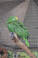 Botanischer Garten in Funchal