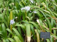 im Botanischen Garten Funchal
