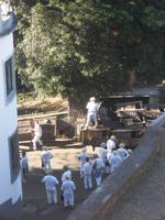 die Korbschlittenfahrer