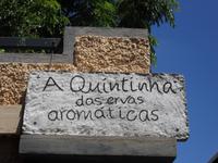 zu Besuch in einem Kräutergarten