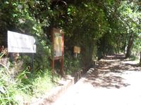 kleine Wanderung entlang der Levada